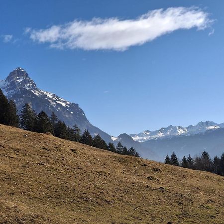 Baers Mountain Stay Ausserbraz Innerbraz المظهر الخارجي الصورة