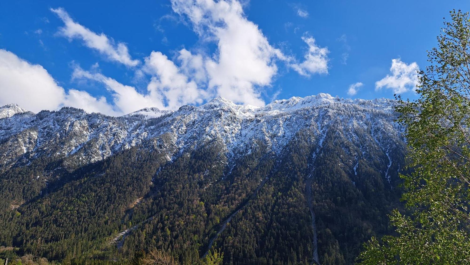 Baers Mountain Stay Ausserbraz Innerbraz المظهر الخارجي الصورة
