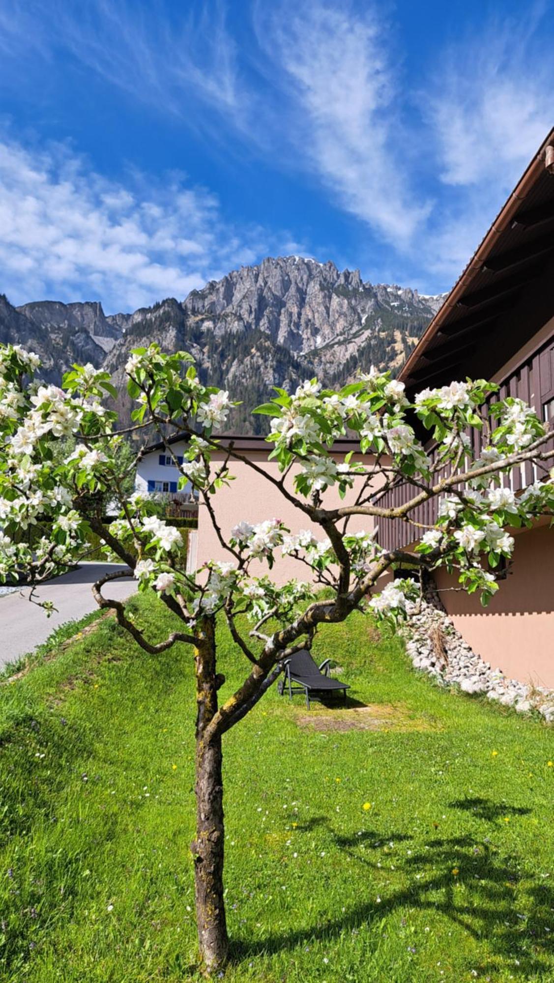 Baers Mountain Stay Ausserbraz Innerbraz المظهر الخارجي الصورة
