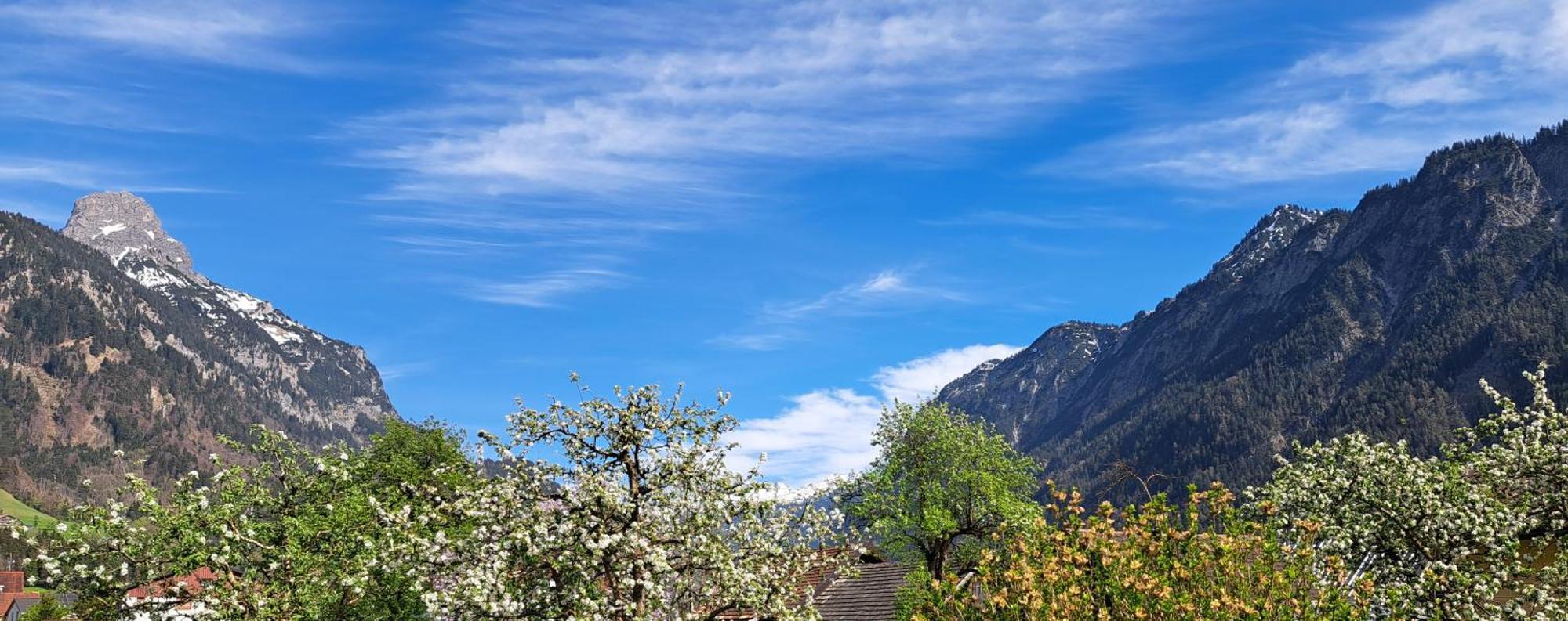 Baers Mountain Stay Ausserbraz Innerbraz المظهر الخارجي الصورة