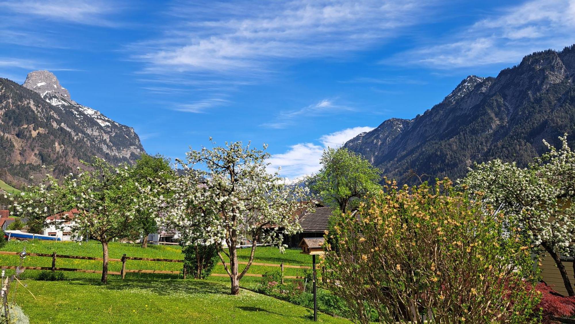 Baers Mountain Stay Ausserbraz Innerbraz المظهر الخارجي الصورة