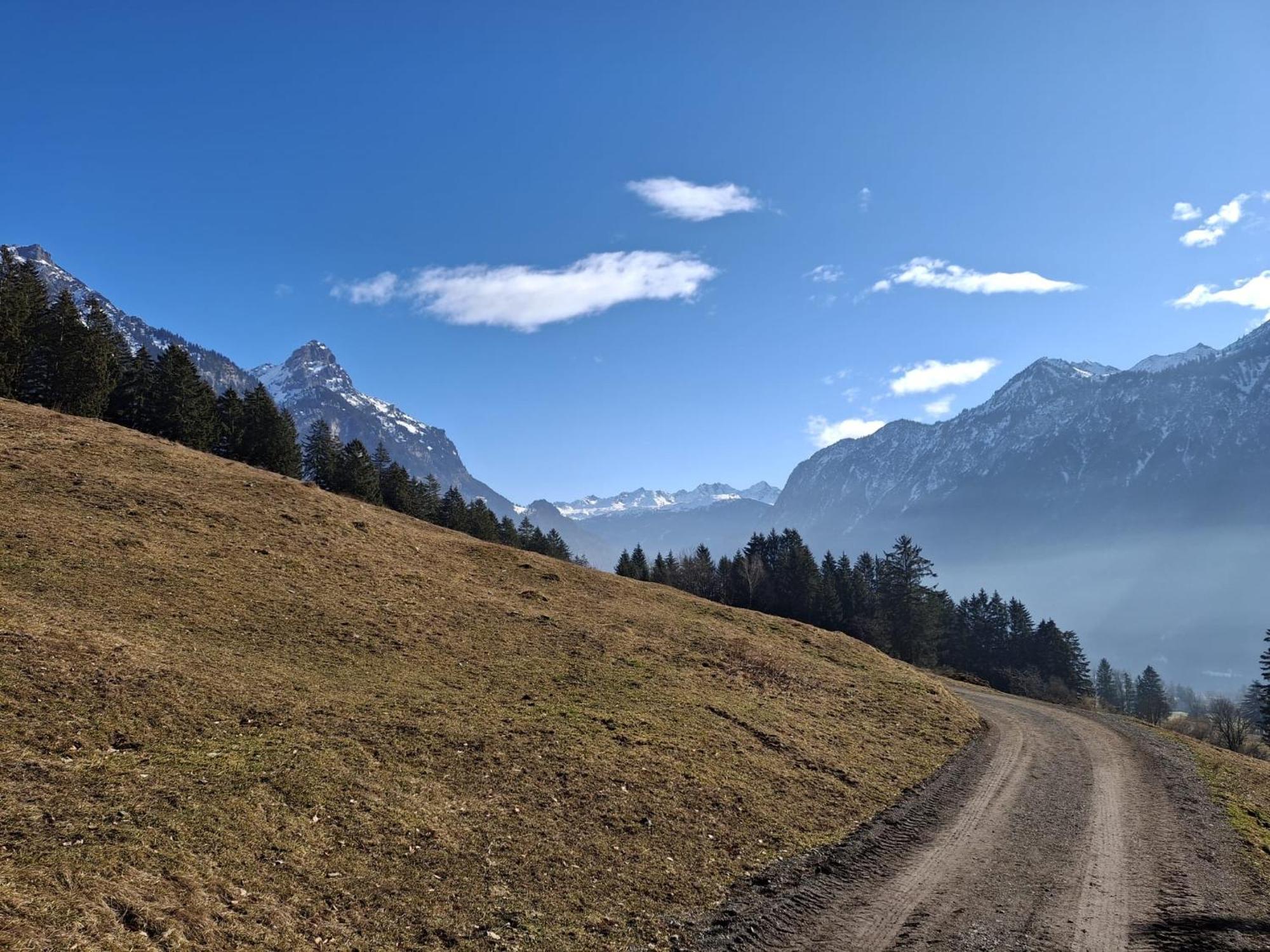 Baers Mountain Stay Ausserbraz Innerbraz المظهر الخارجي الصورة