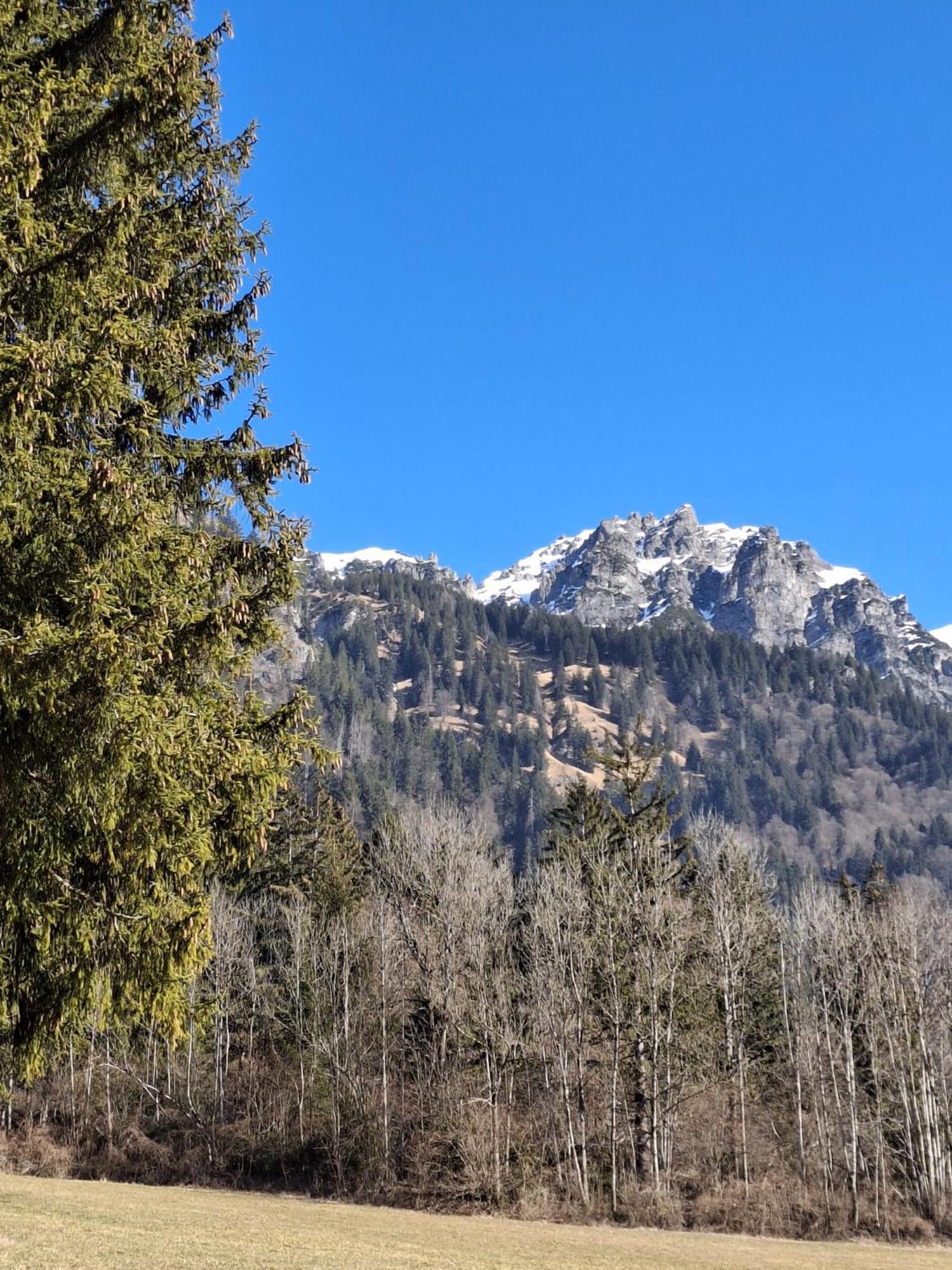 Baers Mountain Stay Ausserbraz Innerbraz المظهر الخارجي الصورة