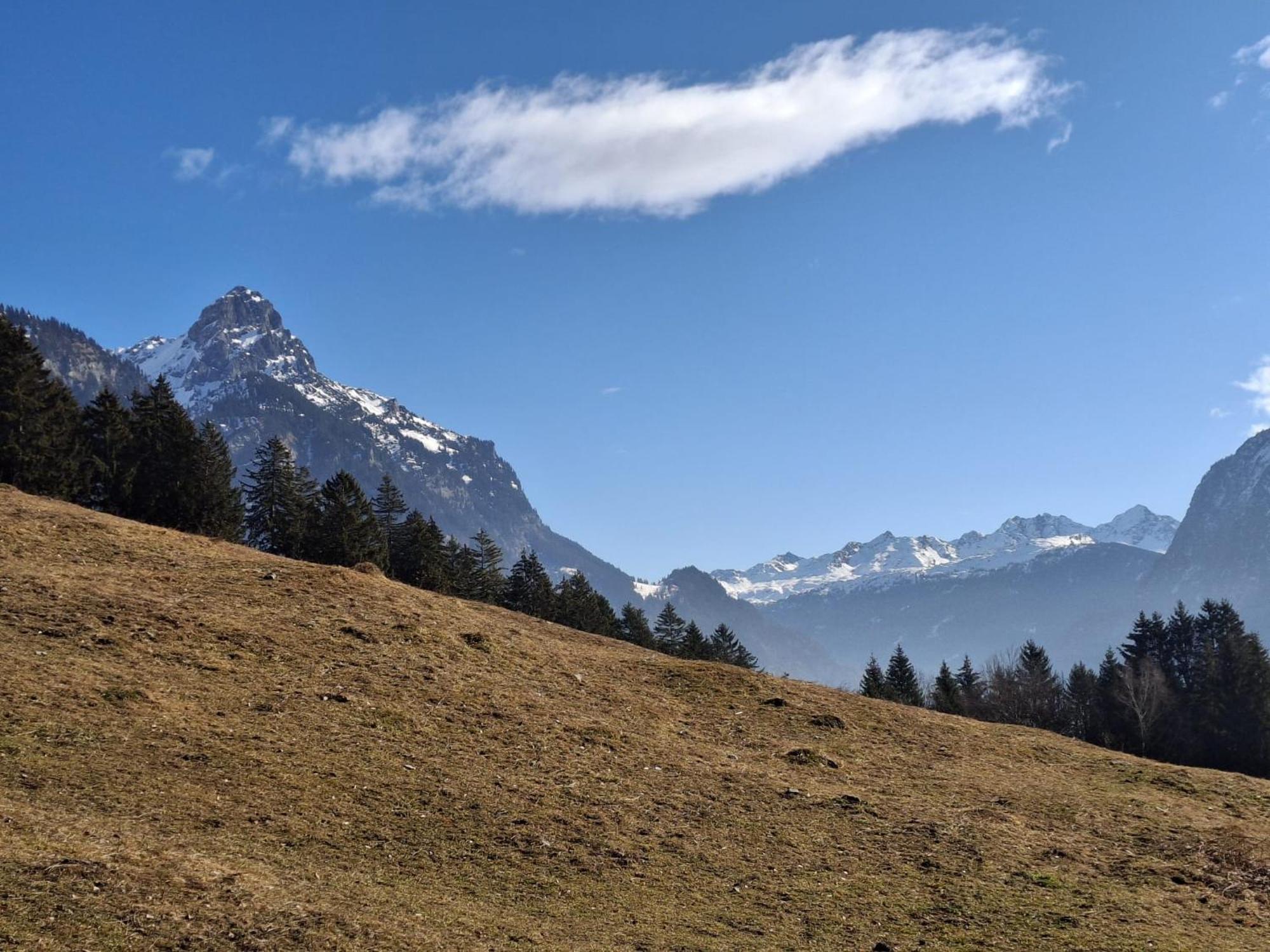 Baers Mountain Stay Ausserbraz Innerbraz المظهر الخارجي الصورة